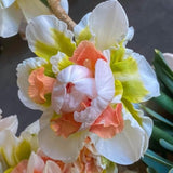 Replete Double Daffodil Bulbs – Colorful Spring Blooming Flowers