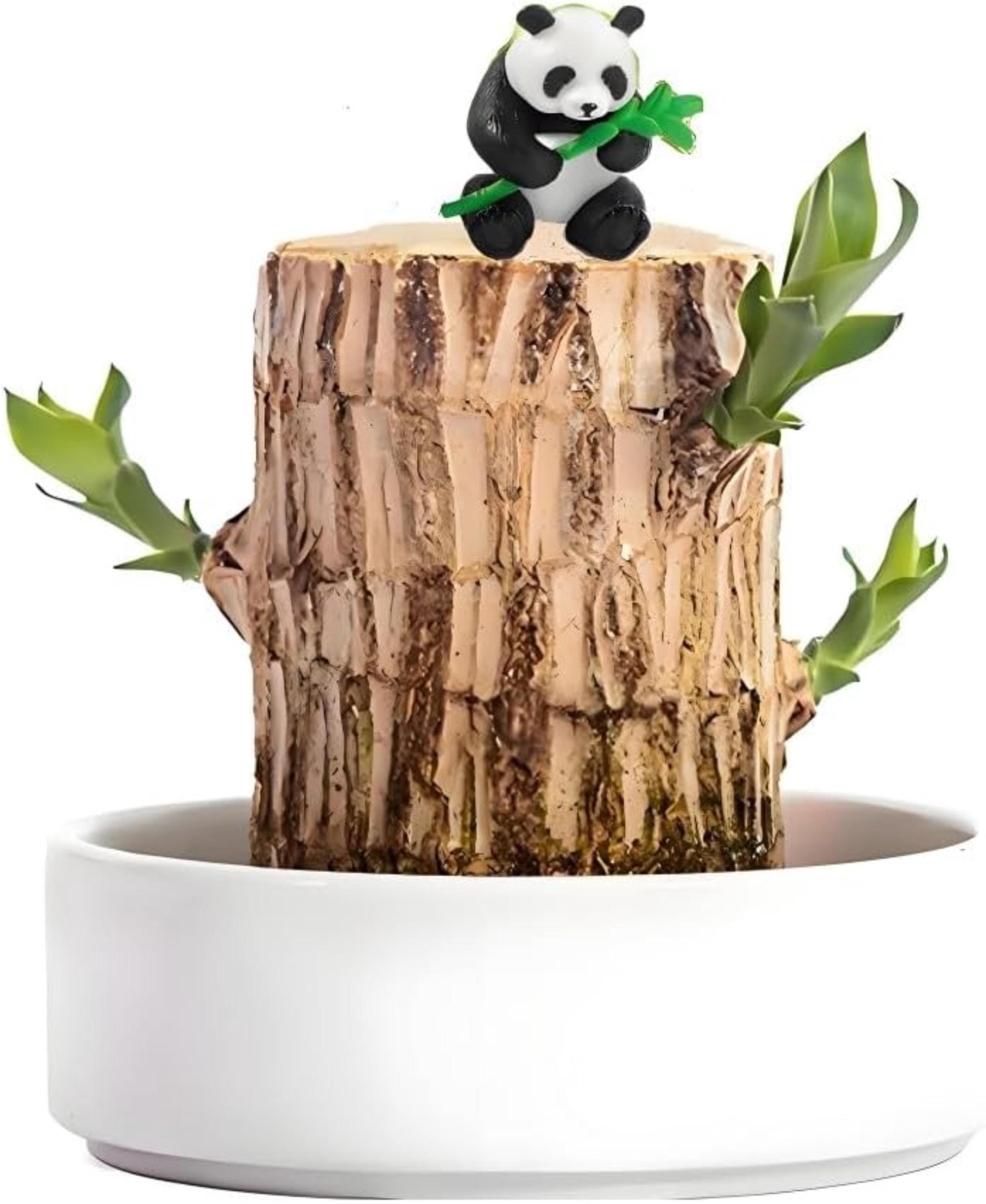 Brazilian Wood Plant Mini Lucky Tree with Panda Statue for Home & Office Decor