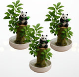 Brazilian Willow Wood Plants – Mini Lucky Wood Kits