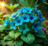 Fountain Blue Lobelia Seeds – Cascading Flowers