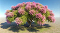 Desert Willow Tree Seeds for Planting