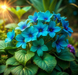 Fountain Blue Lobelia Seeds – Cascading Flowers